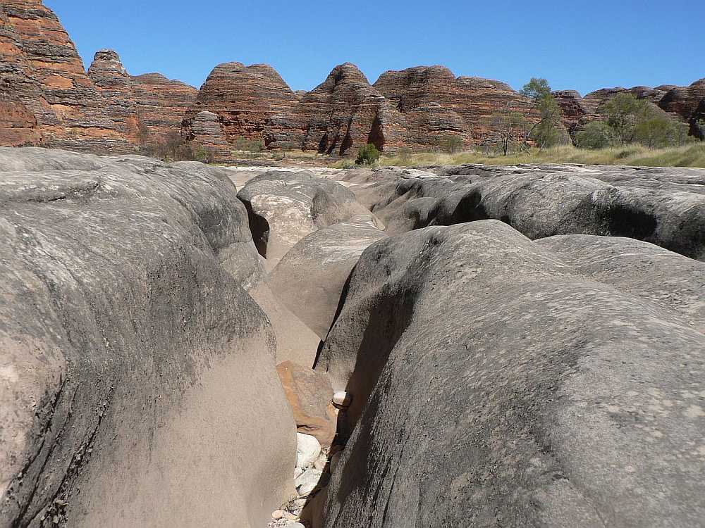 Bungles